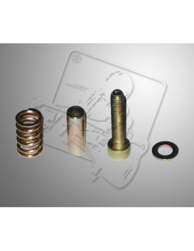 KIT TORNILLO PINZA FRENO 6MM KIT TORNILLO PINZA FRENO 6MM