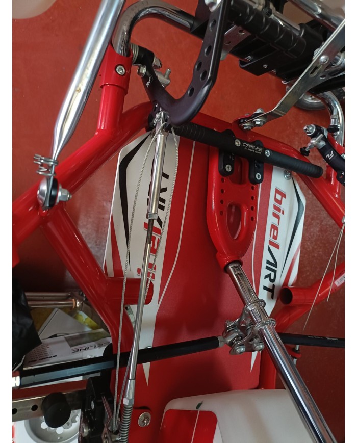 copy of Kart Birel Mini con Motor Rotax Mini 2024