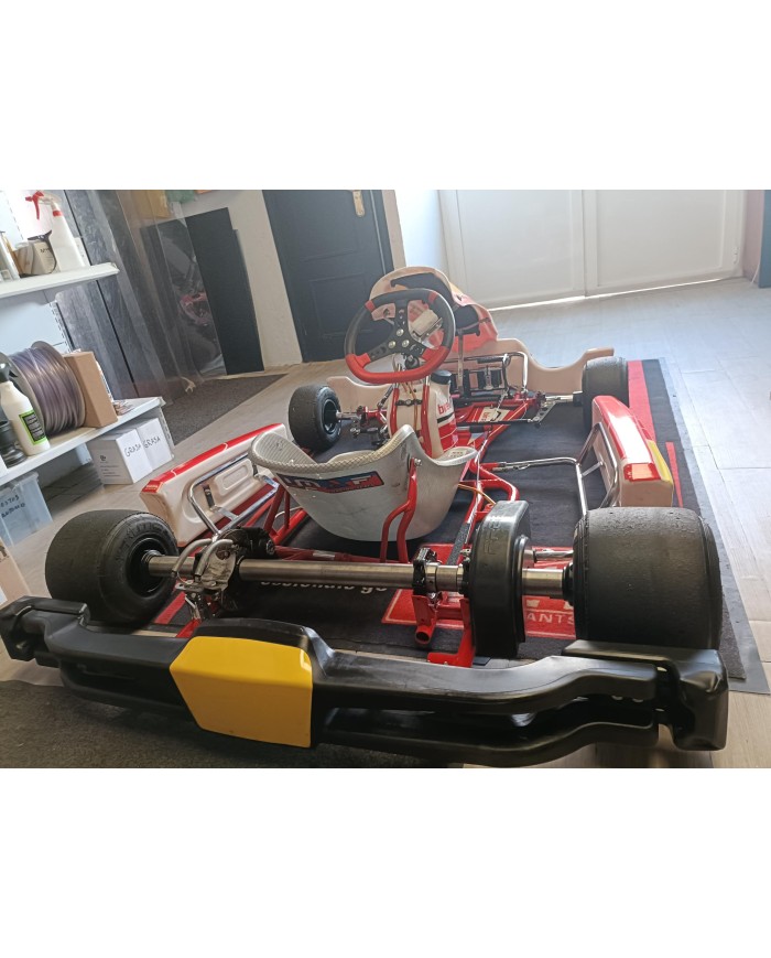 Kart BirelArt KZ de segunda mano