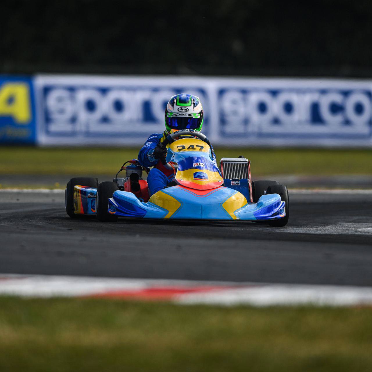 Alonso Kart